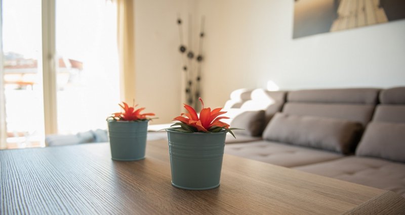 Apartments Michalis 3 — photo 2