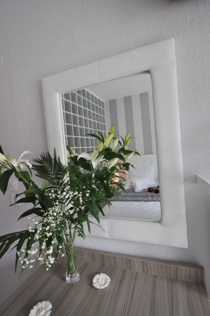 Anemoni — photo 3