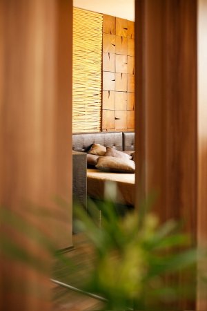 Snow Fox Secret Penthouse In a SPA hotel with Beautiful VIews — photo 3