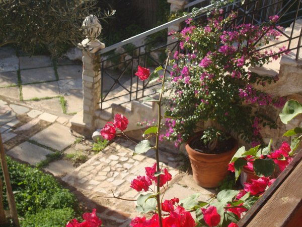 CHARMING COUNTRY HOUSE BY THE SEA (1min walk ) — photo 3