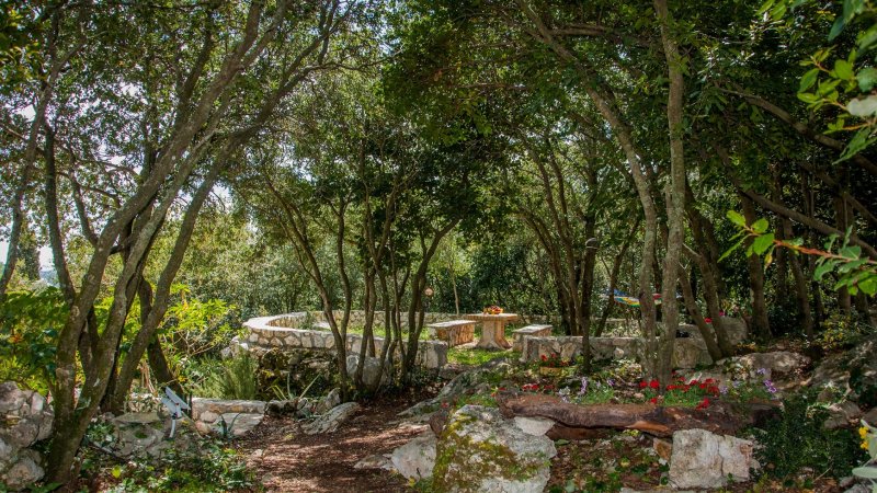 VILLA Regina — photo 5