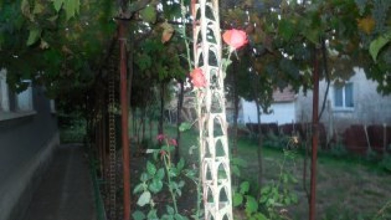 House in village Lulyakova — photo 4