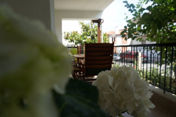 Magnolia — photo 2