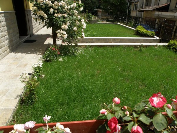 Apartments Kaloyan– 1 apartment — photo 4