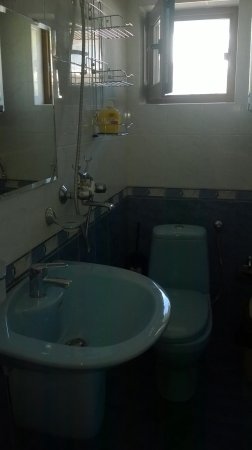 СТАЯ 3 — photo 2
