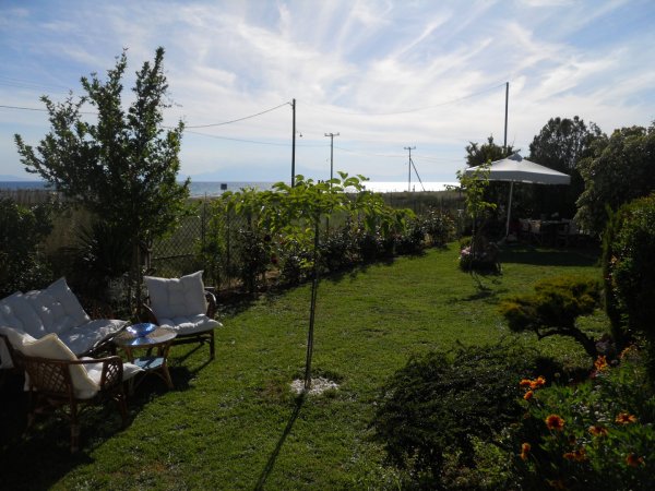 Efi's cozy house Nea Plagia — photo 1