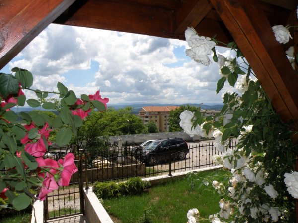 Apartments Kaloyan– 1 apartment — photo 1